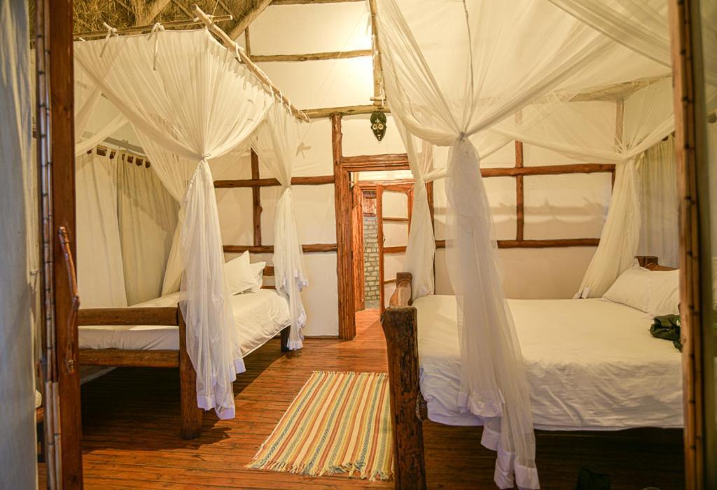 מלון קאססה Kazinga Wilderness Safari Camp מראה חיצוני תמונה